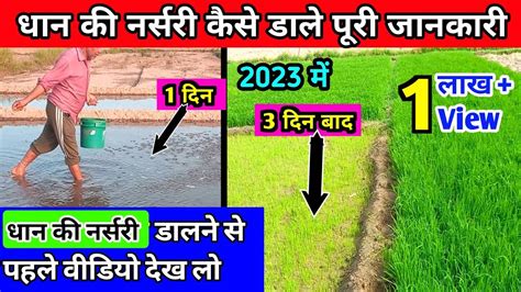 dhan ki saari.